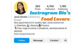 Best 500+ instagram bio for food lover cool & funny